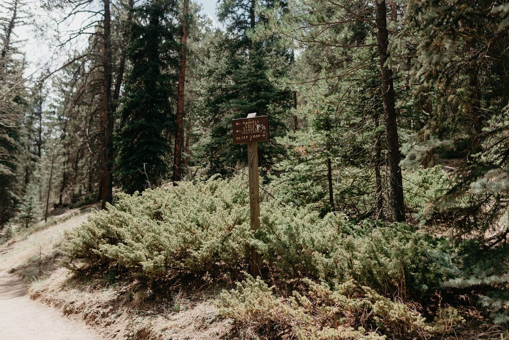 Hiking trail sign on maxwell falls hike