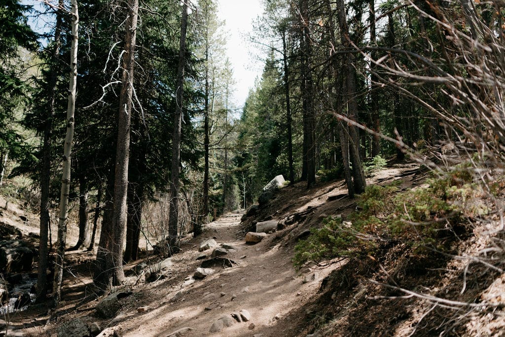 wooded hiking trail in evergreen colorado