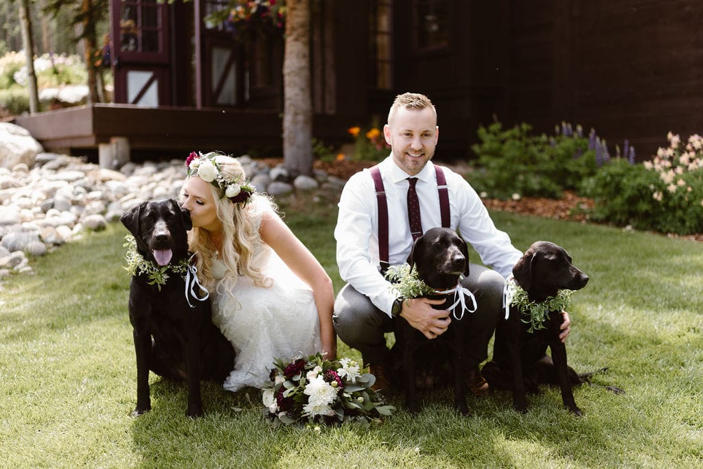 Bride and Groom with their Dogs at their Breckenridge wedding