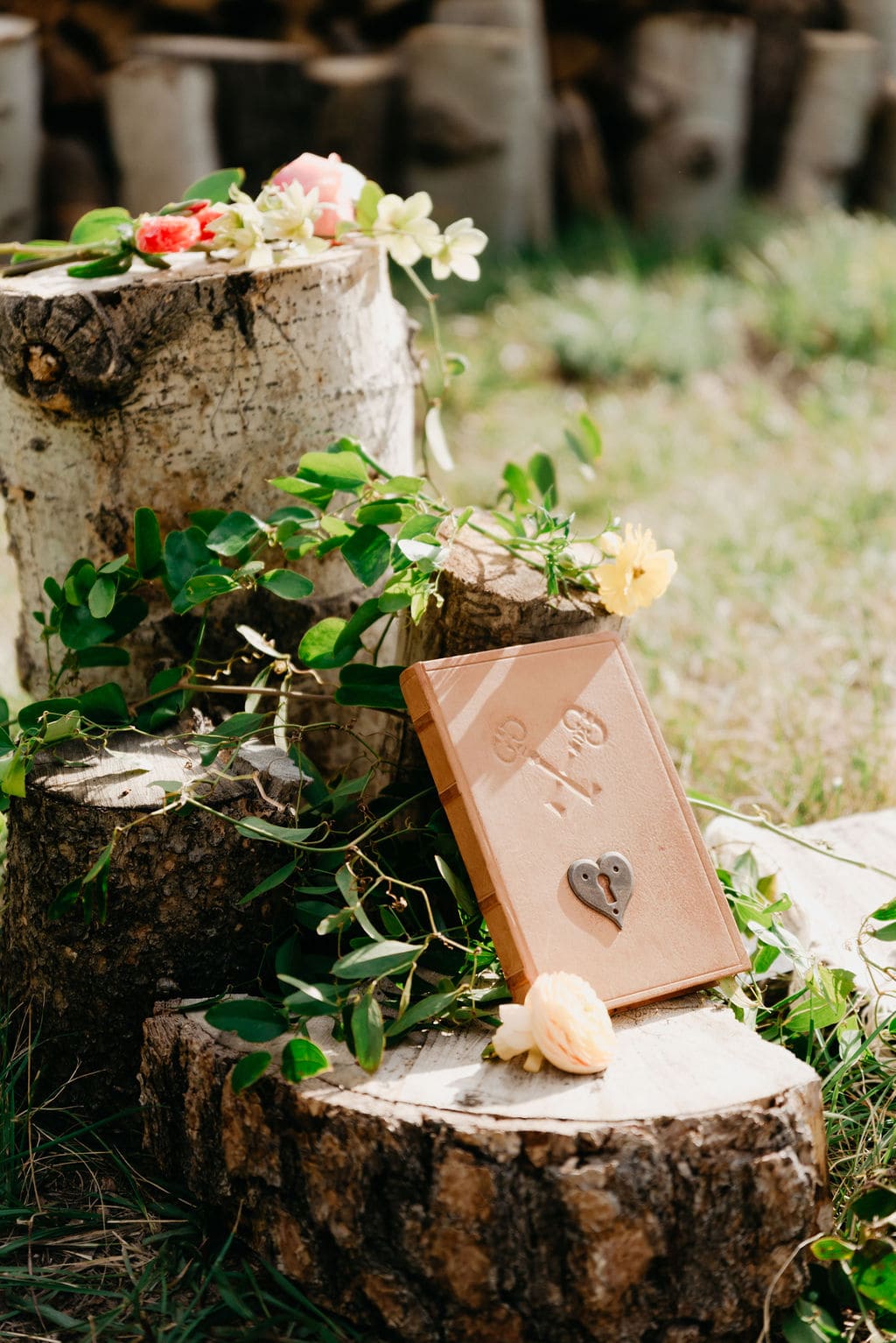 Beautiful Vow book on aspen stumps for wedding ceremony