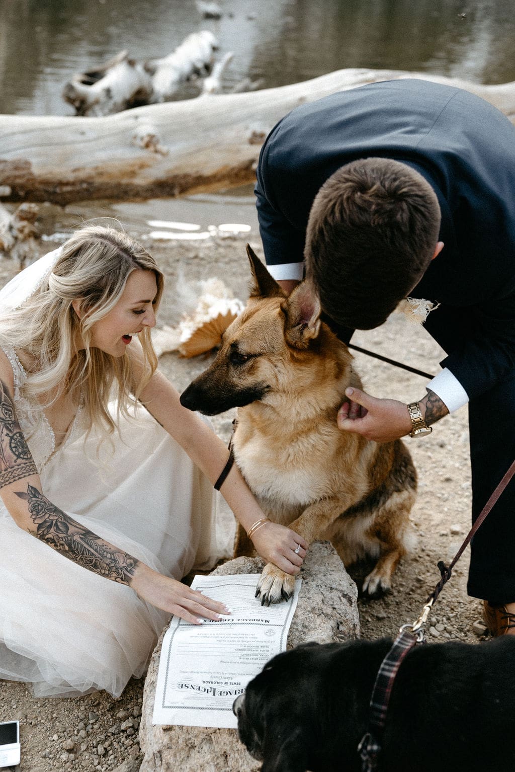 Dog signing marriage license at colorado elopement