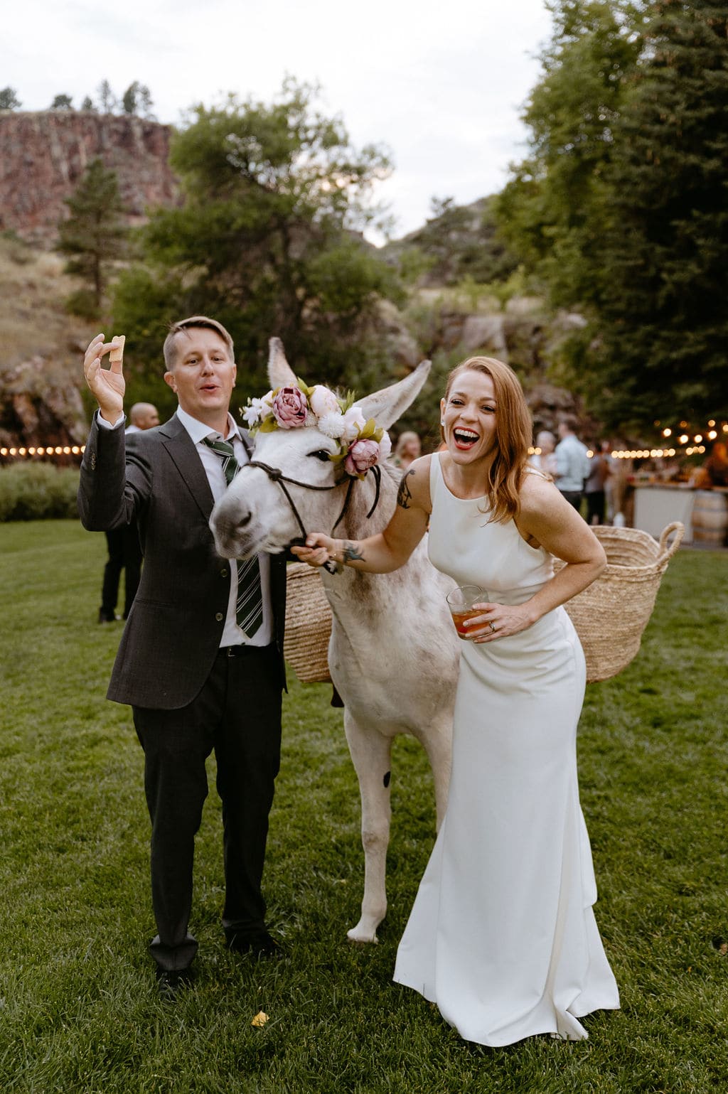 Wedding reception with the rocky mountain wedding burros