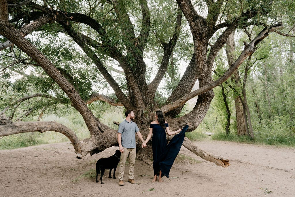 Couples Maternity Session under a huge tree at Lair o The Bear Park near Denver, Colorado