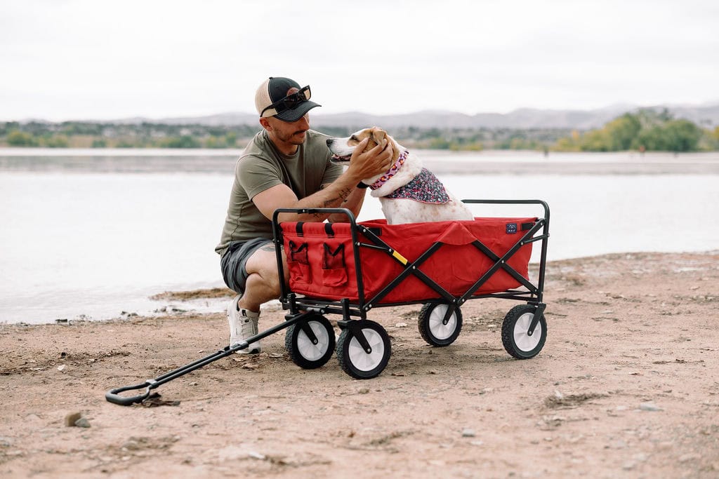 Sweet end of life pet portrait session with mike and joplin