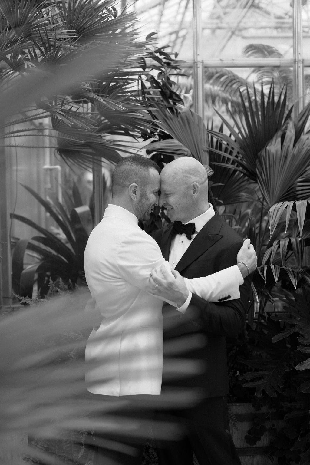 Romantic Groom Portraits at Denver Botanic Gardens Orangery Wedding