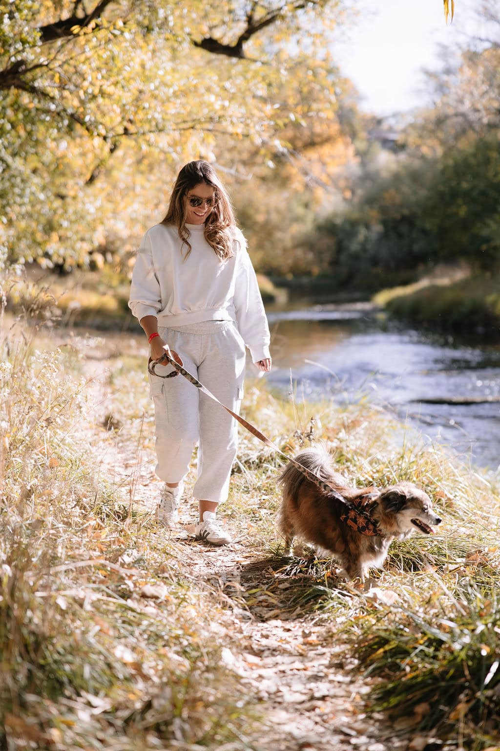 Fall Color Pet Portraits in Denver 
