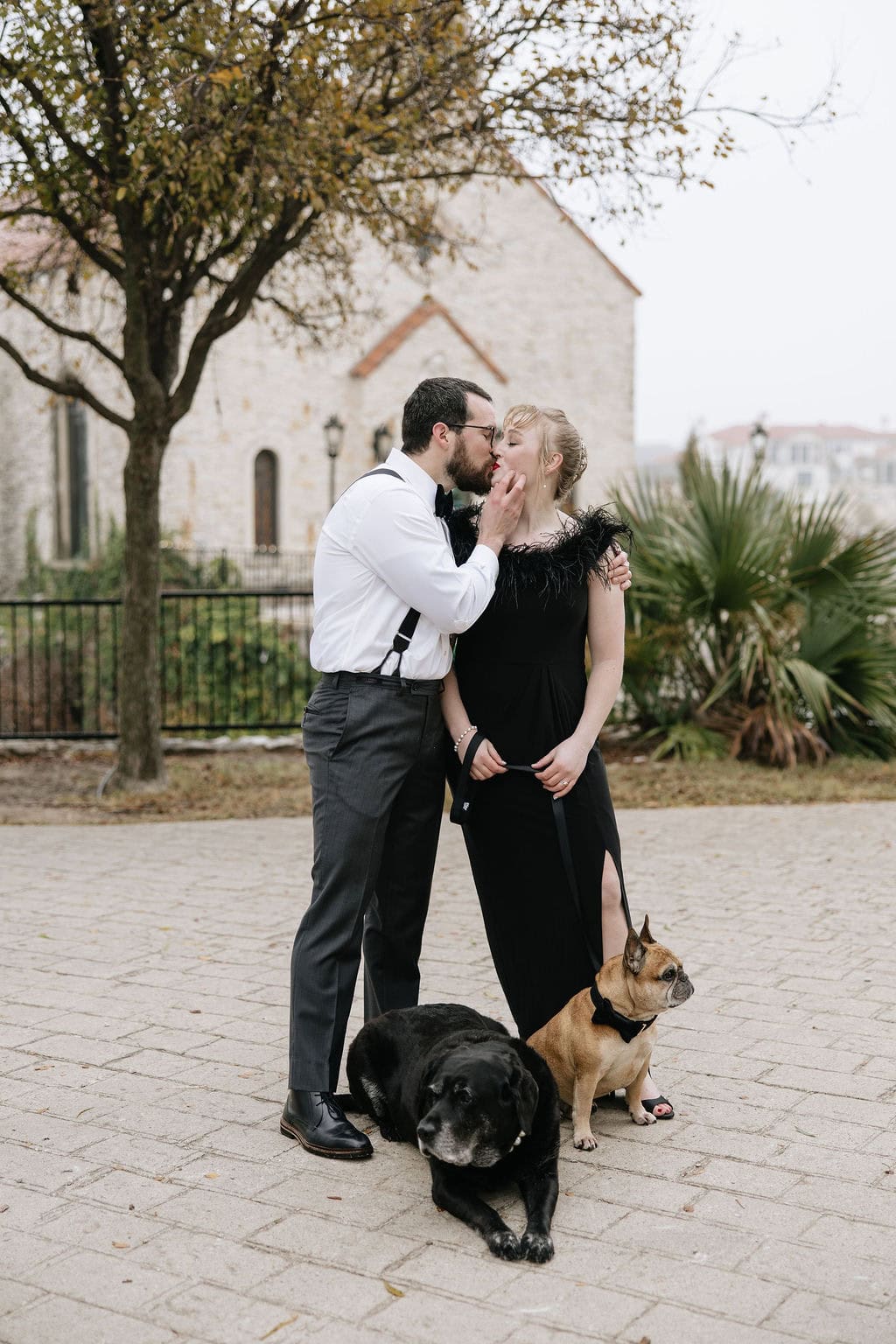 Pet Portraits by Cara Eliz Photo, Denver Pet and Family Photographer