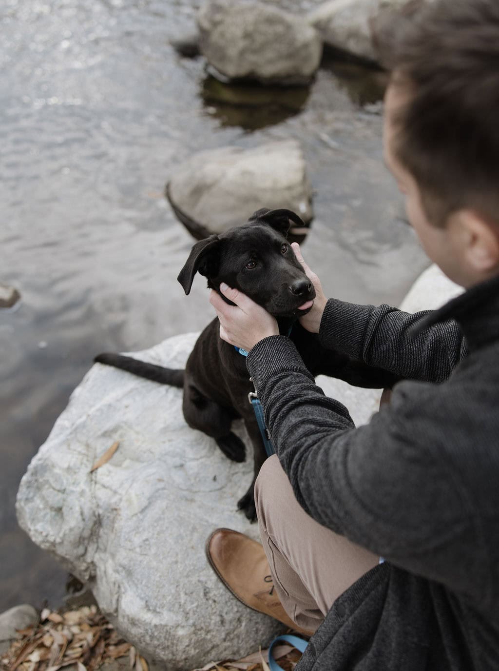 creekside puppy love. Man sweetly holds his dogs face as they sit on a rock in Anderson park right by the creek at his pet portrait session.