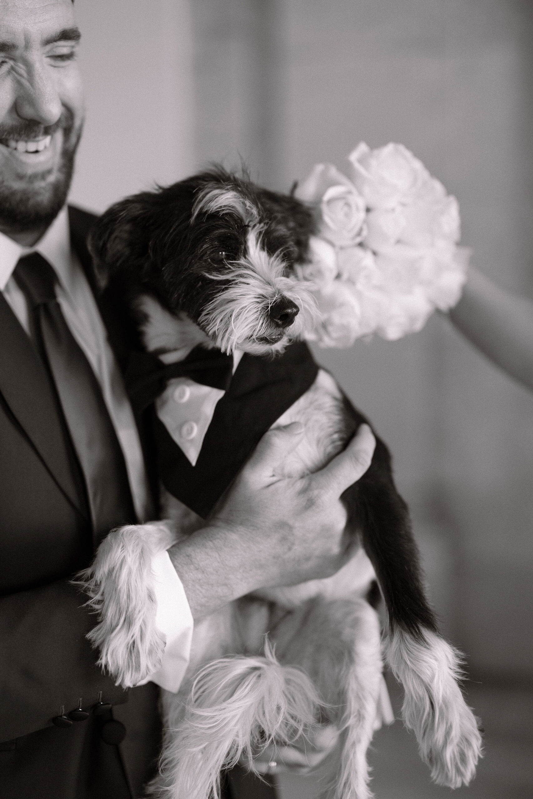 Couple loves on their dog outside of their courthouse wedding in Little Rock